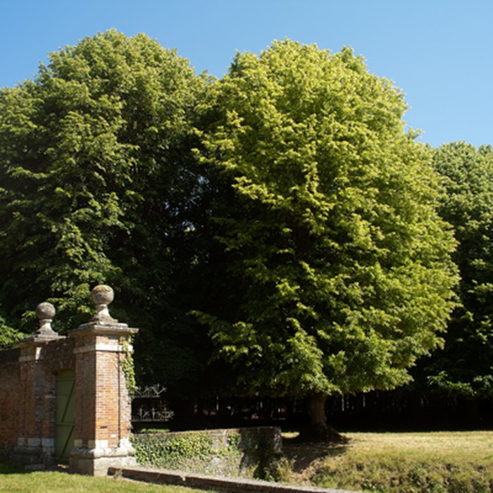 Photo de Château de Miromesnil également sur commune de Saint-Aubin-sur-Scie
