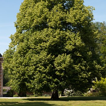 Château de Miromesnil