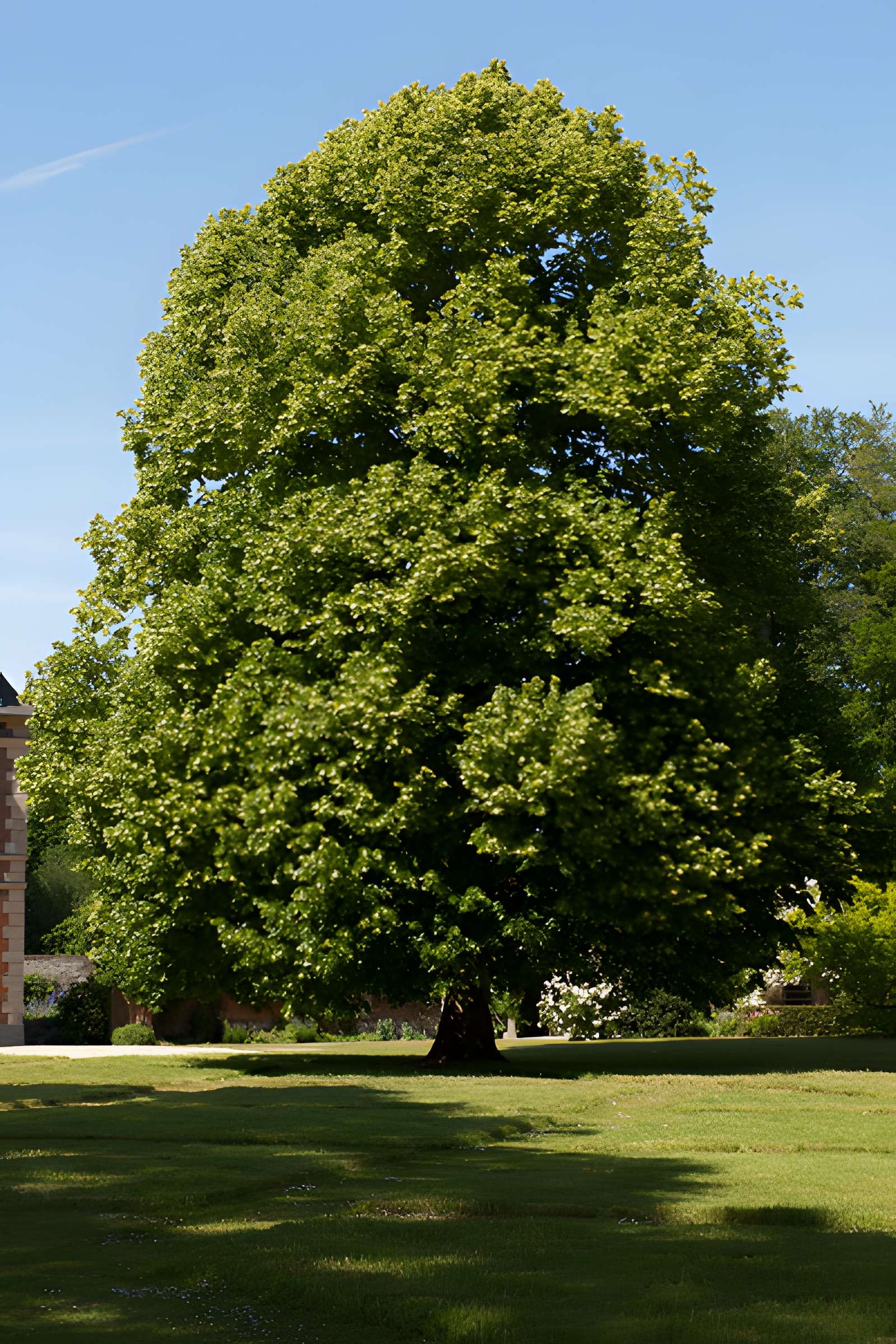 Château de Miromesnil