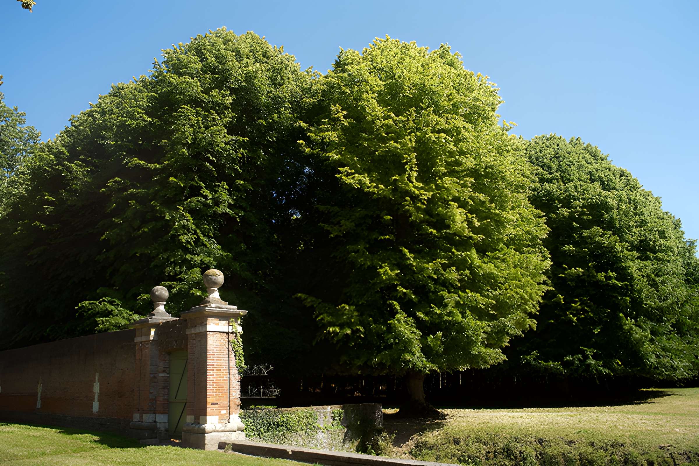 Château de Miromesnil