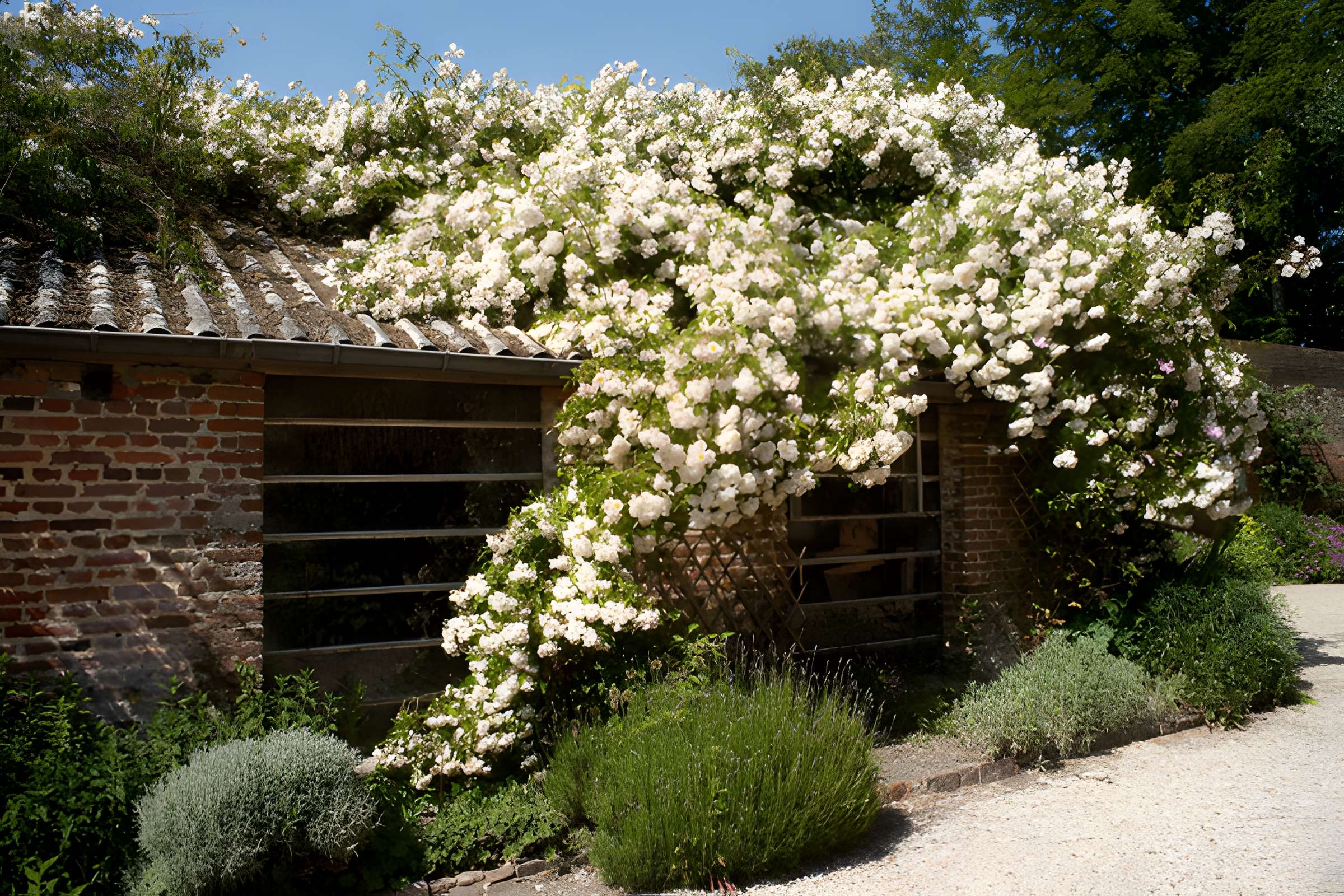 Château de Miromesnil