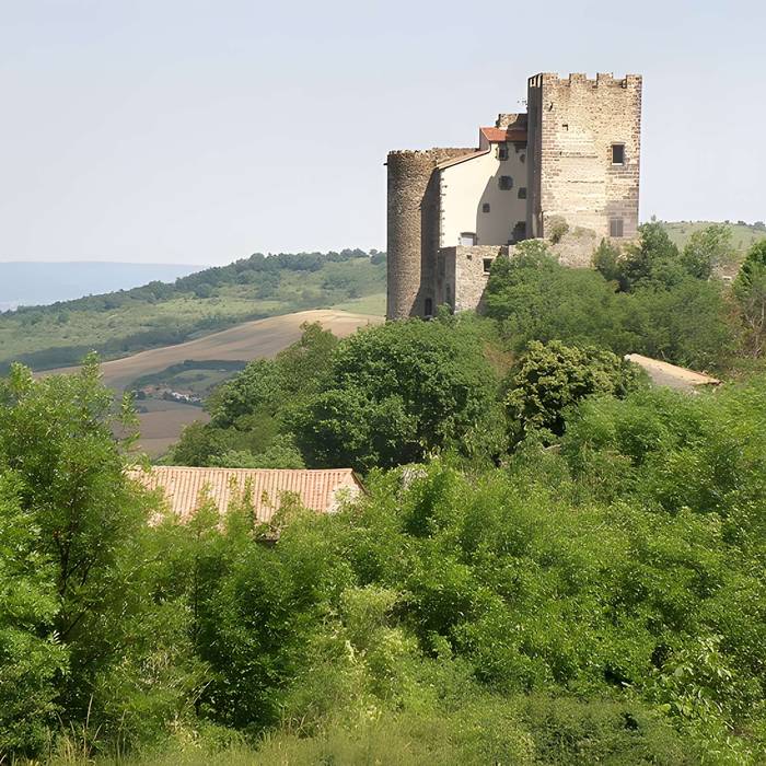 Photo de Château de Montaigut-le-Blanc dans le Puy-de-Dôme