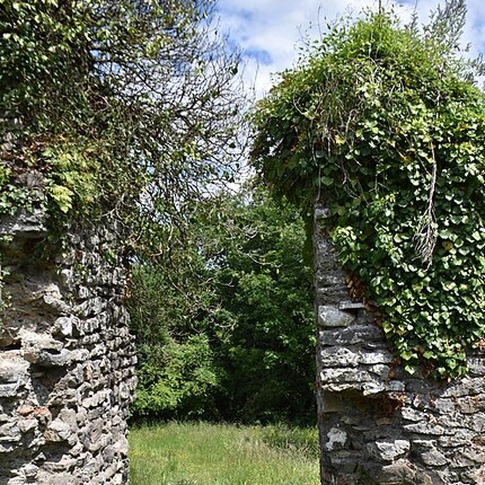 Photo de Château de Montespan