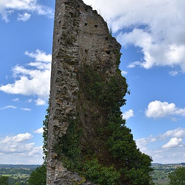 Photo de Château de Montespan