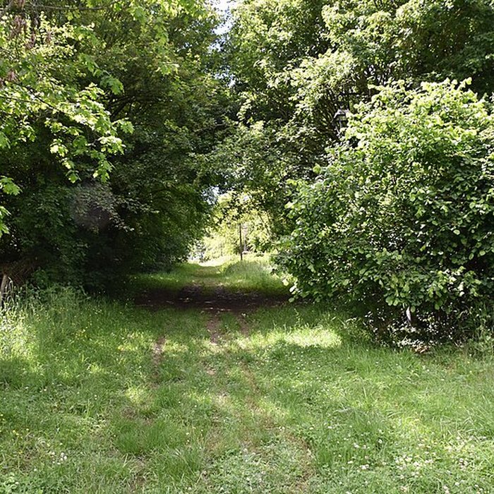 Photo de Château de Montespan