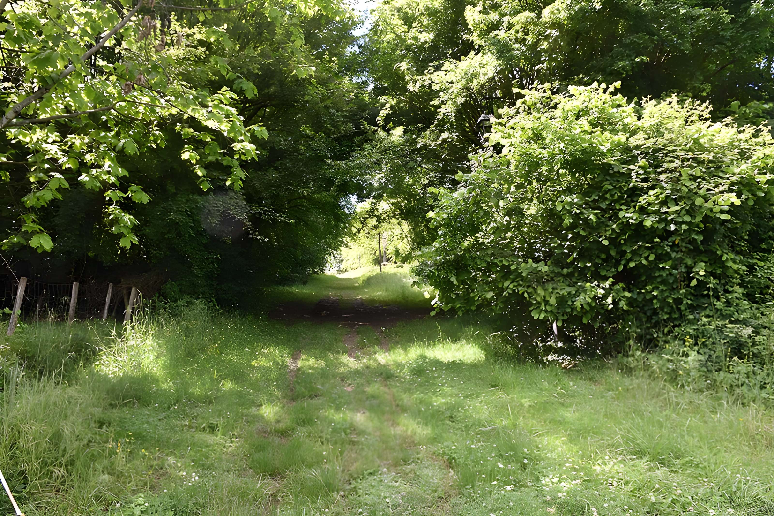 Château de Montespan