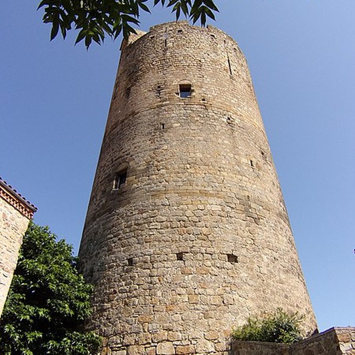 Photo de Ruines de la tour du château fort