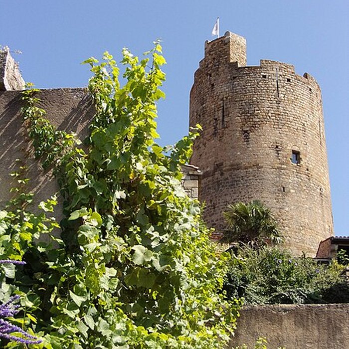 Photo de Ruines de la tour du château fort