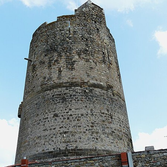Photo de Ruines de la tour du château fort