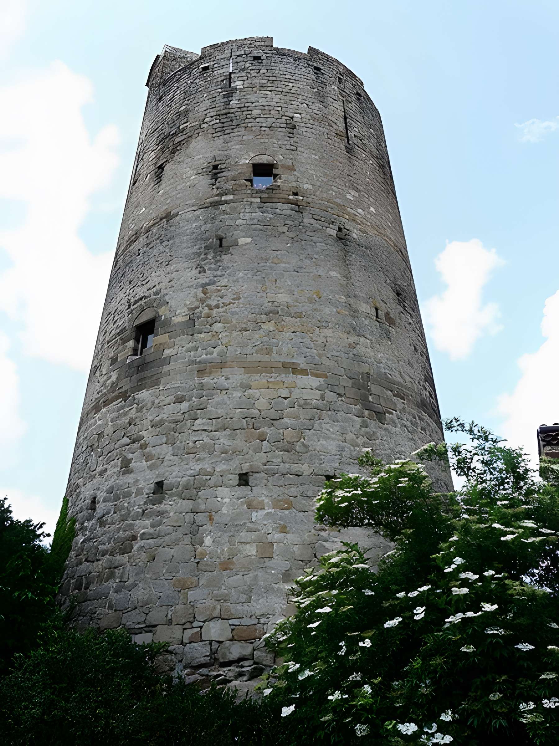 Ruines de la tour du château fort
