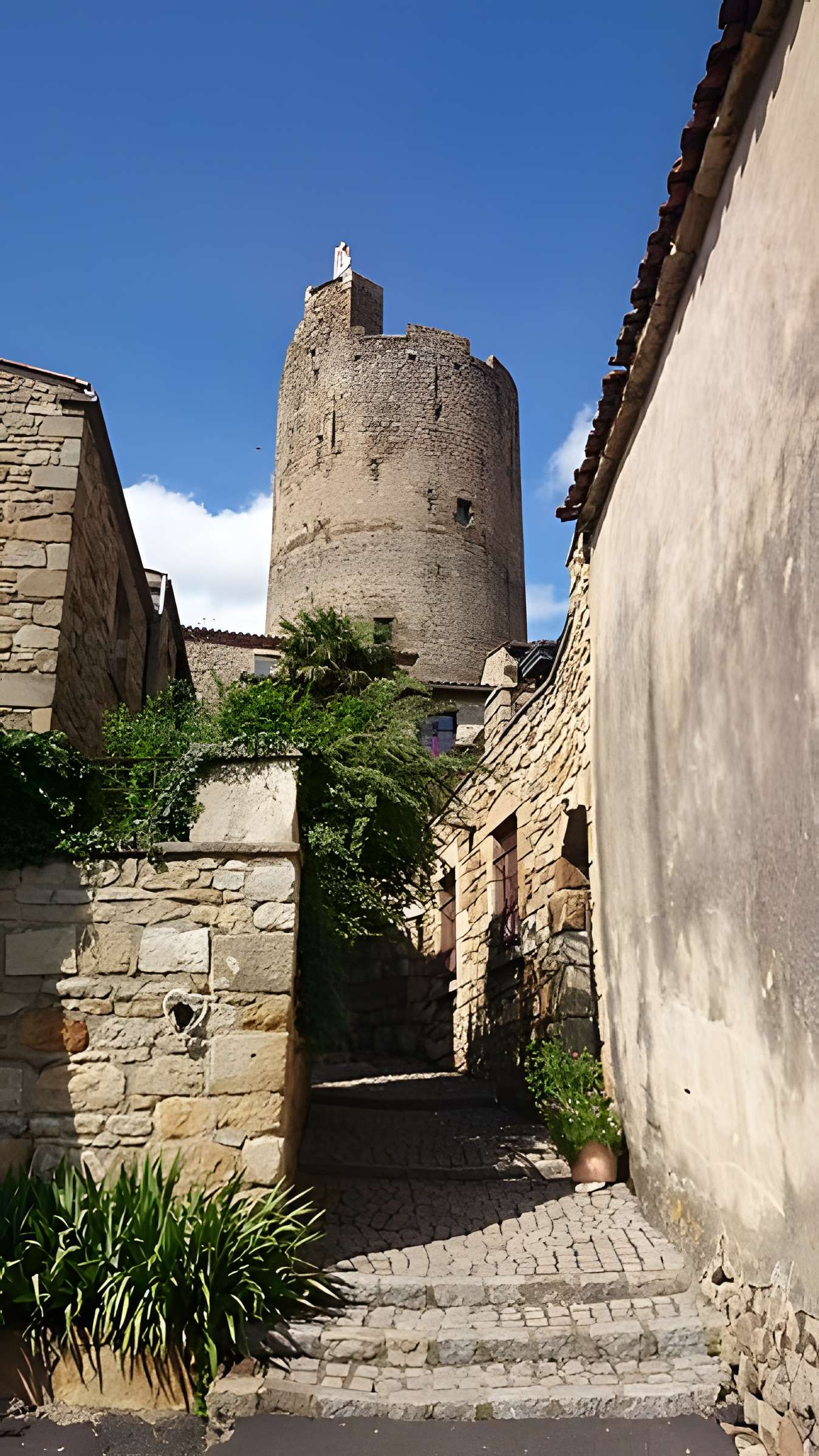 Ruines de la tour du château fort