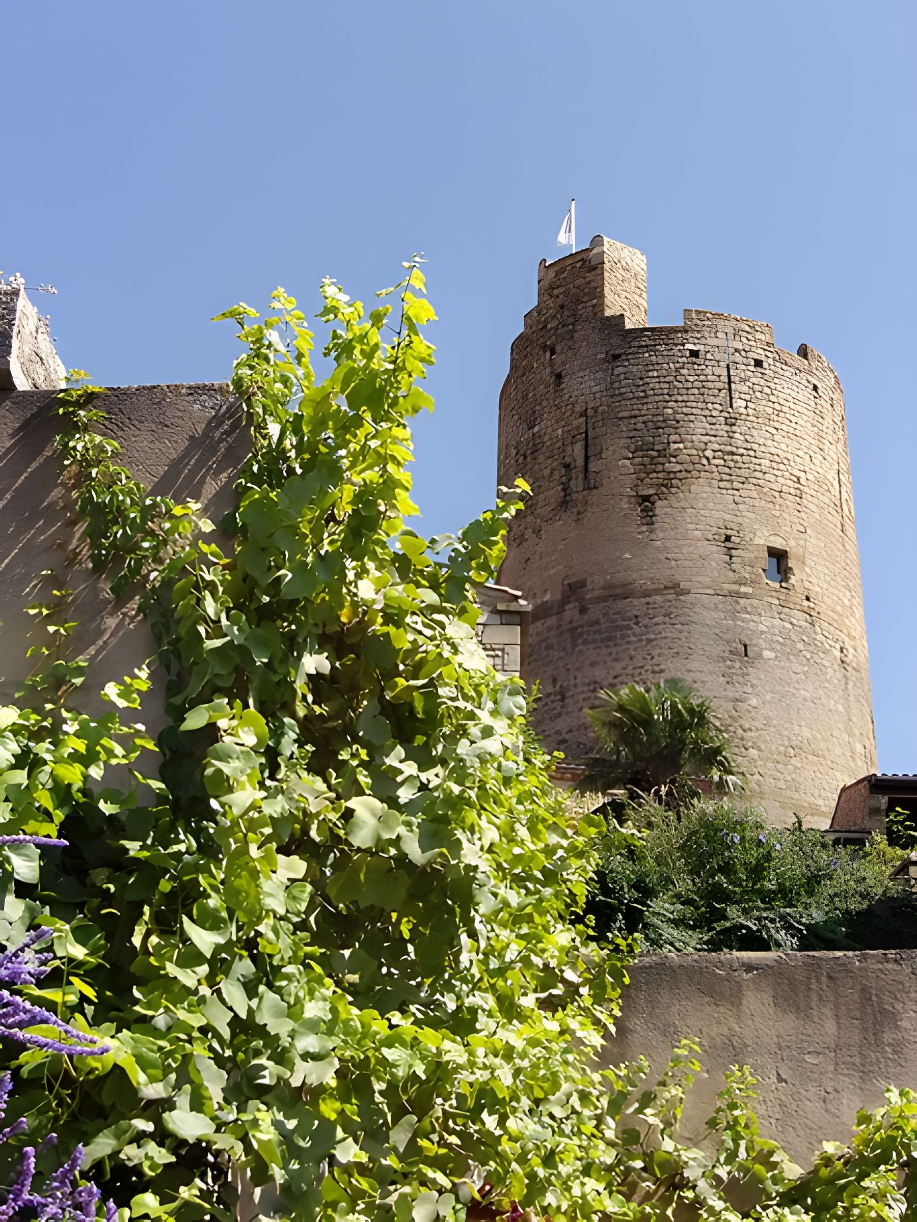 Ruines de la tour du château fort