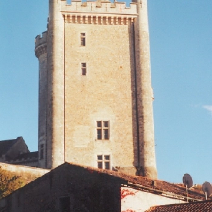 Photo de Château de Morthemer
