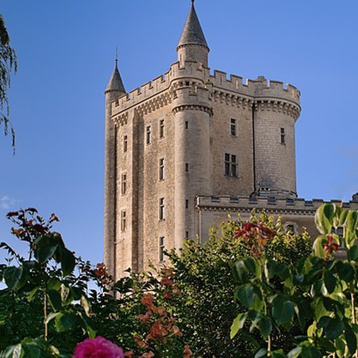 Photo de Château de Morthemer