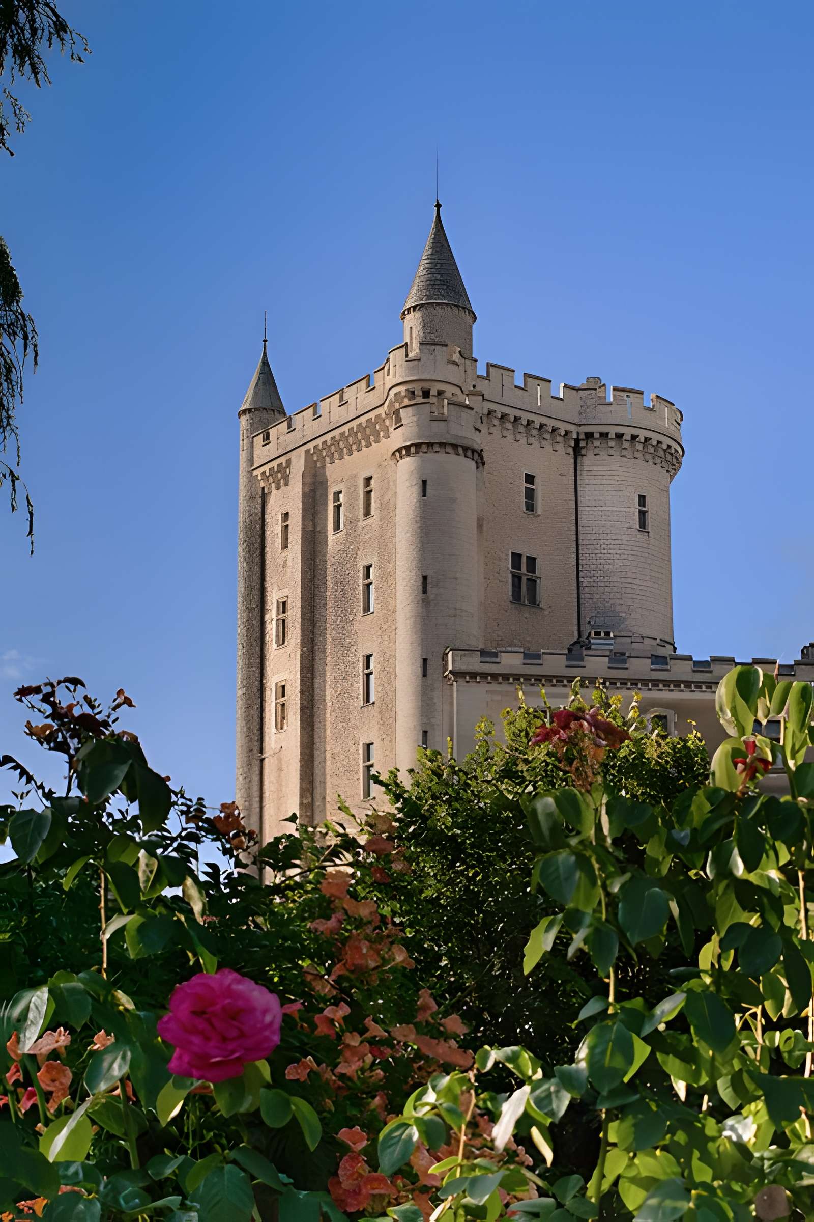 Château de Morthemer