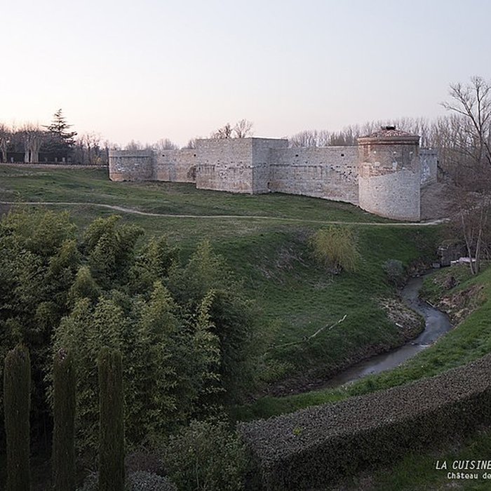 Photo de Château de Nègrepelisse