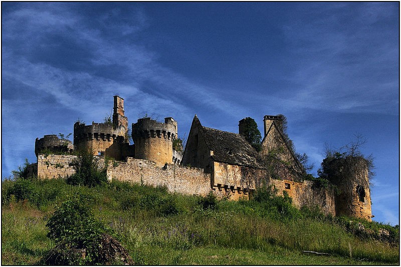 Photo de Château de Paluel