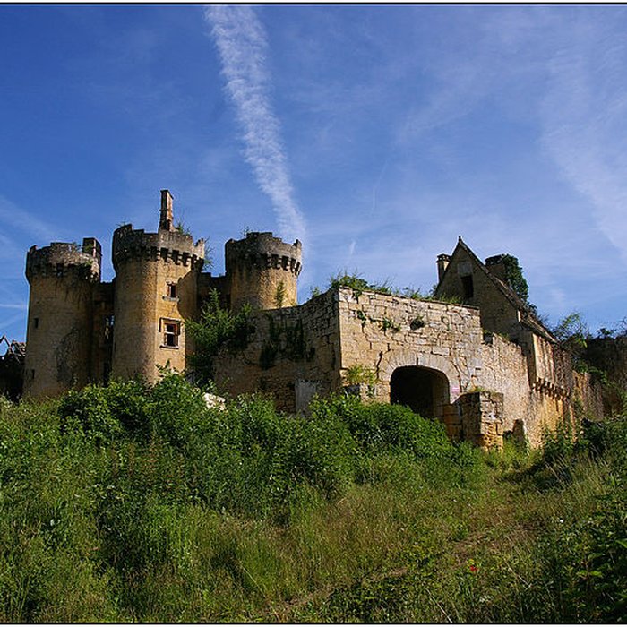 Photo de Château de Paluel