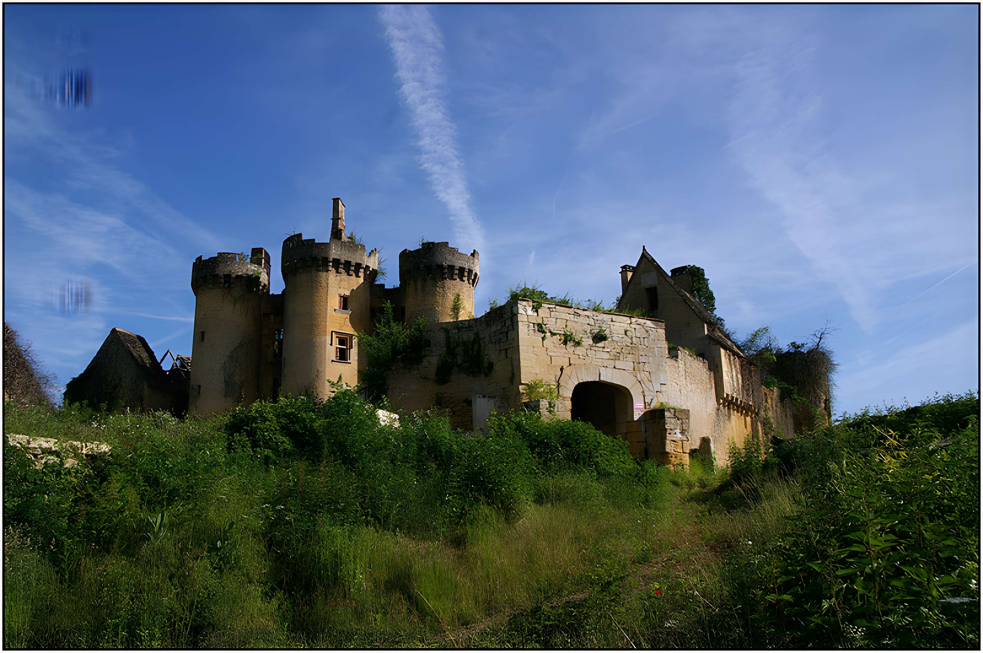 Château de Paluel