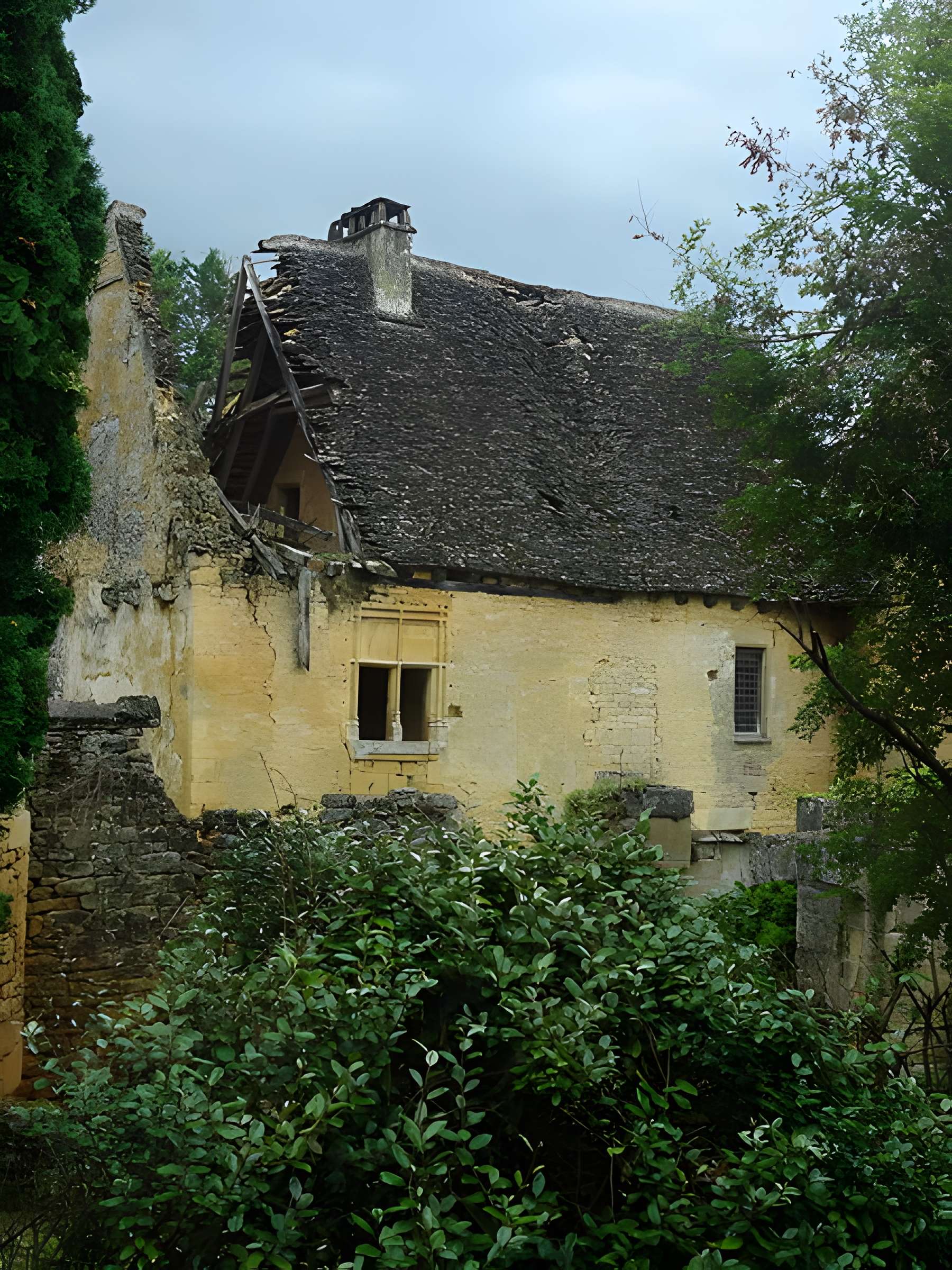 Château de Paluel