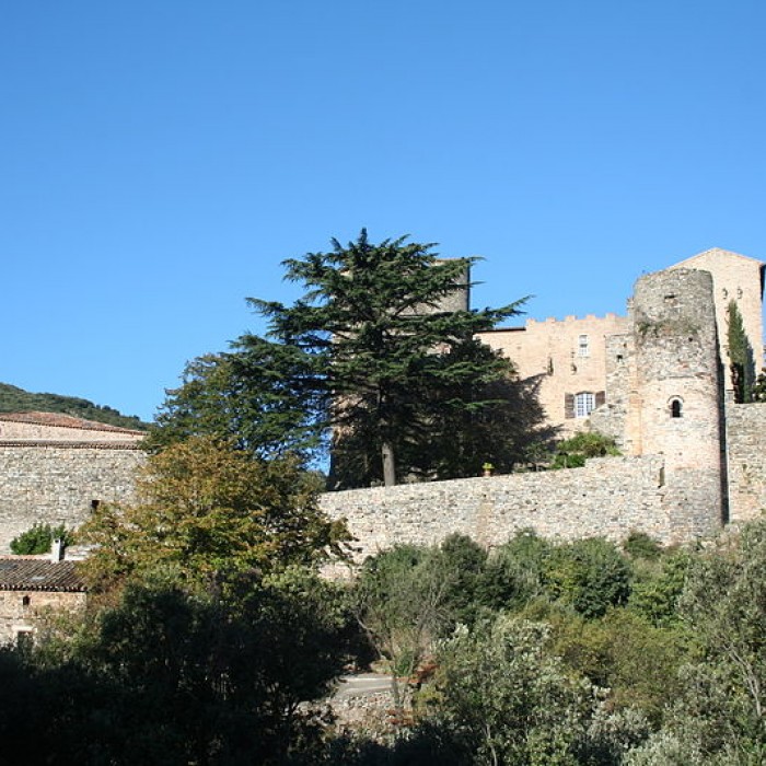 Photo de Château de Pézènes-les-Mines