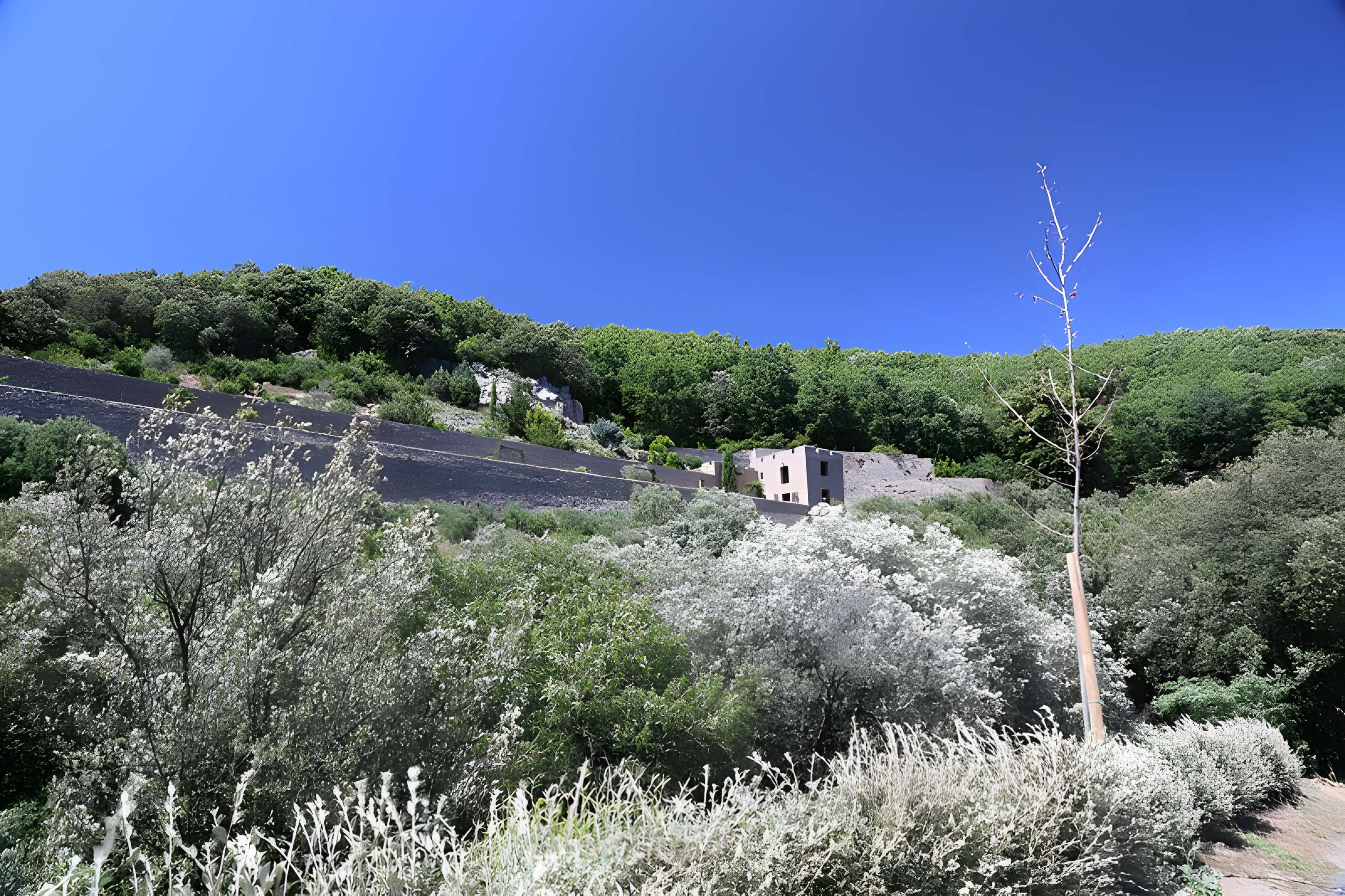 Château de Pézènes-les-Mines
