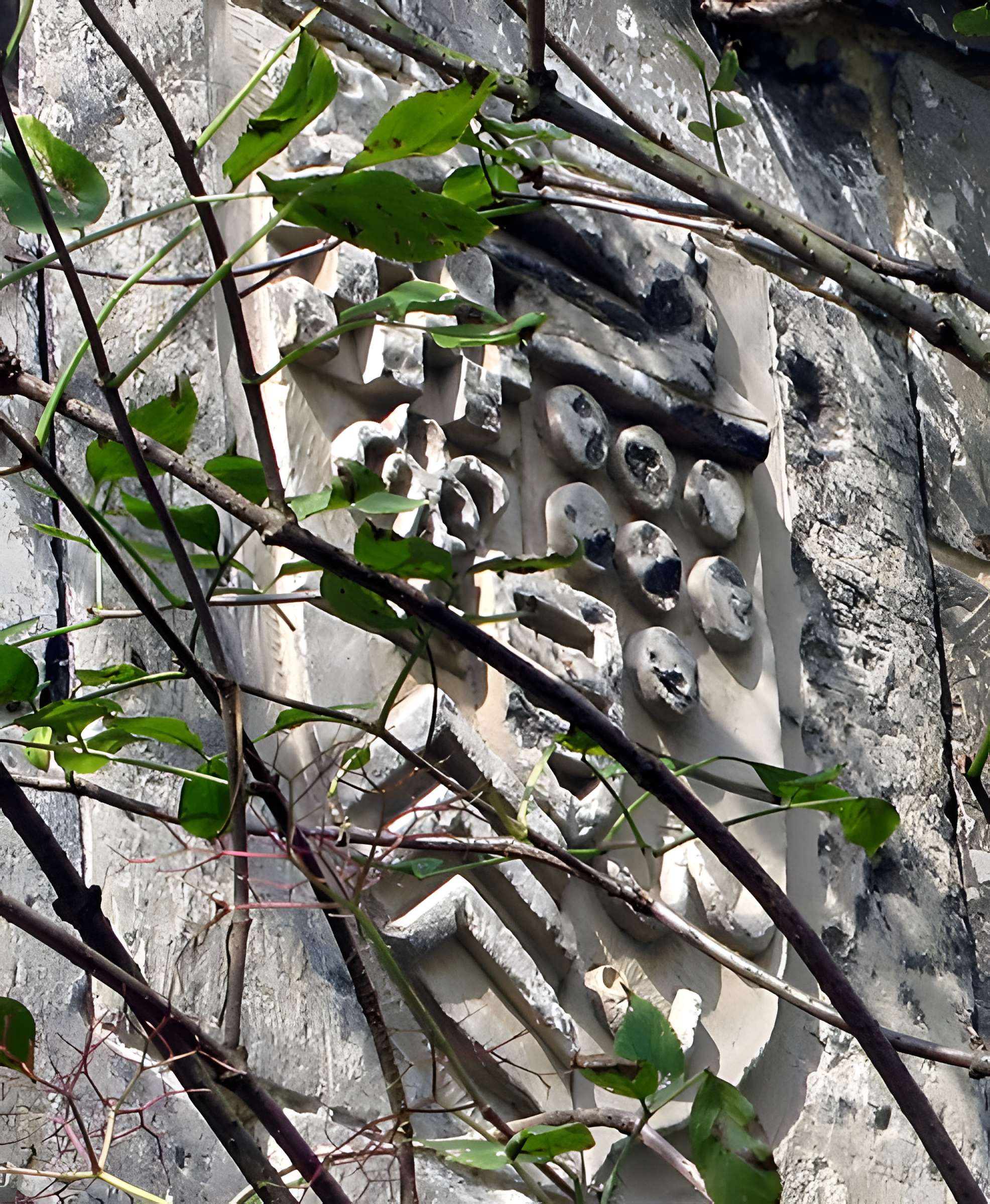 Château de Picquigny