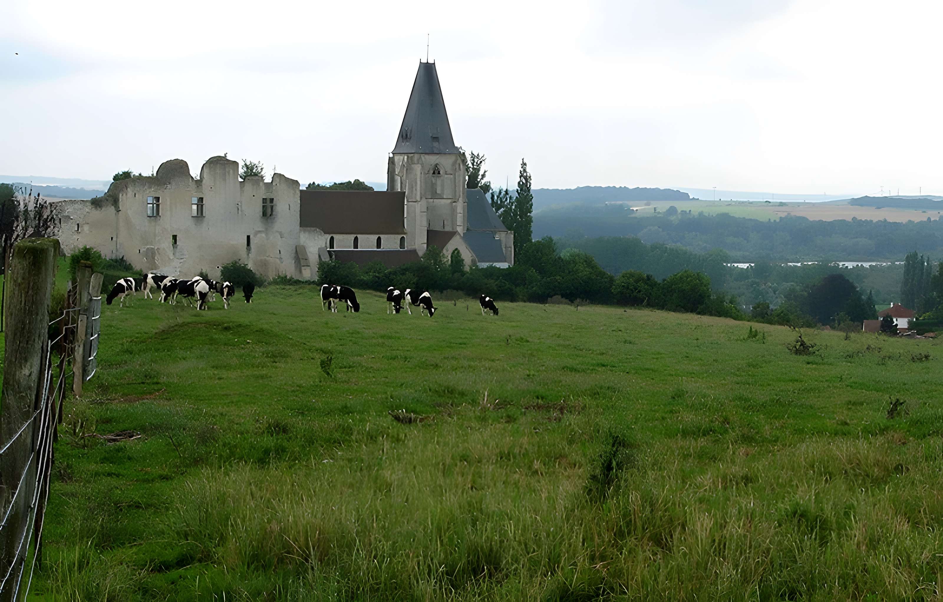 Château de Picquigny