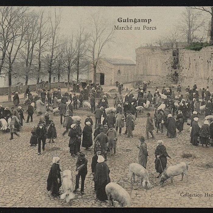Photo de Château de Pierre II