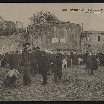 Château de Pierre II