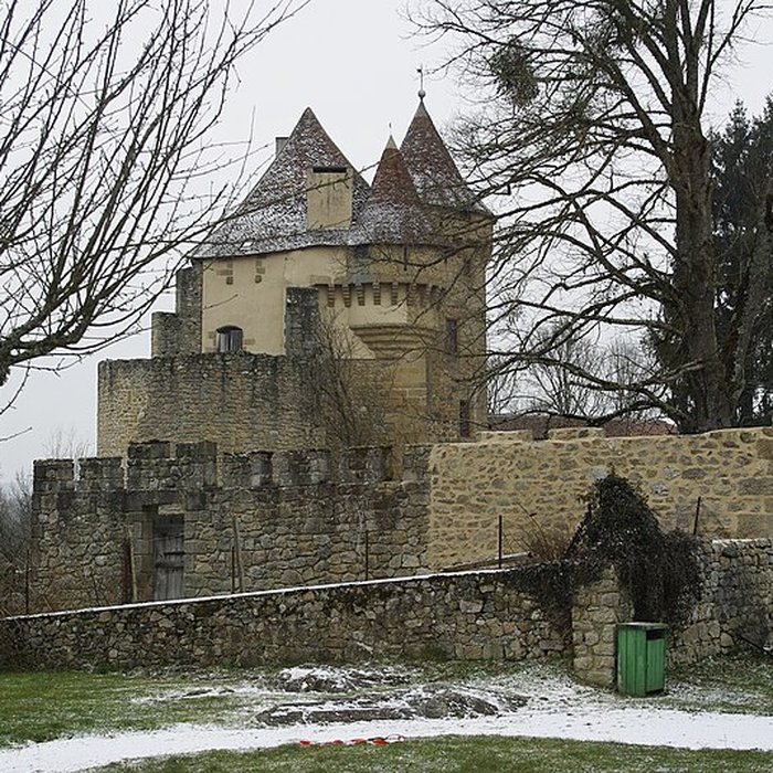 Photo de Château de Pontarion