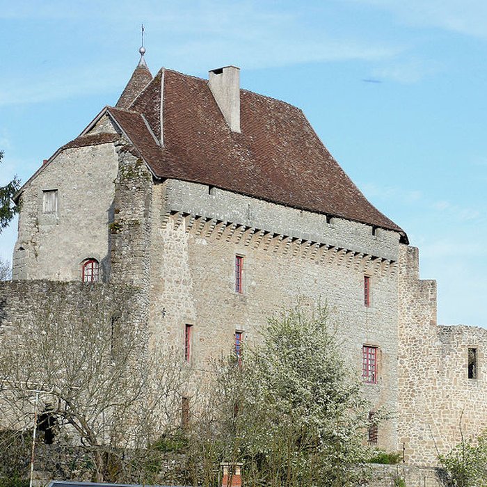 Photo de Château de Pontarion