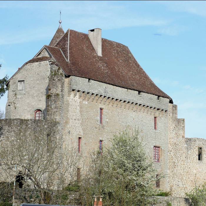 Photo de Château de Pontarion