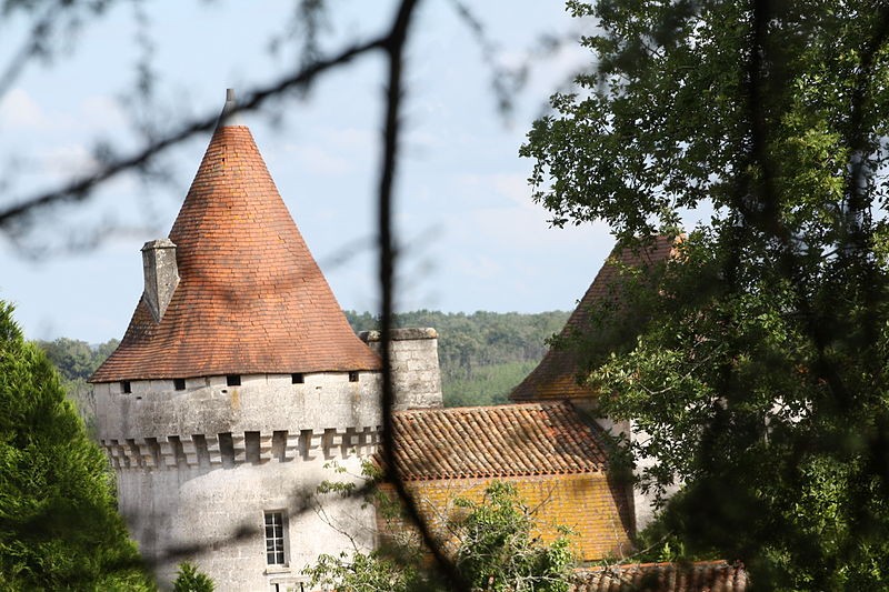 Photo de Château de Poutignac