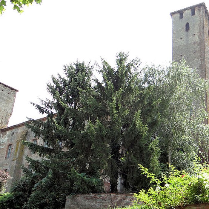 Photo de Château dit de Richard Coeur de Lion