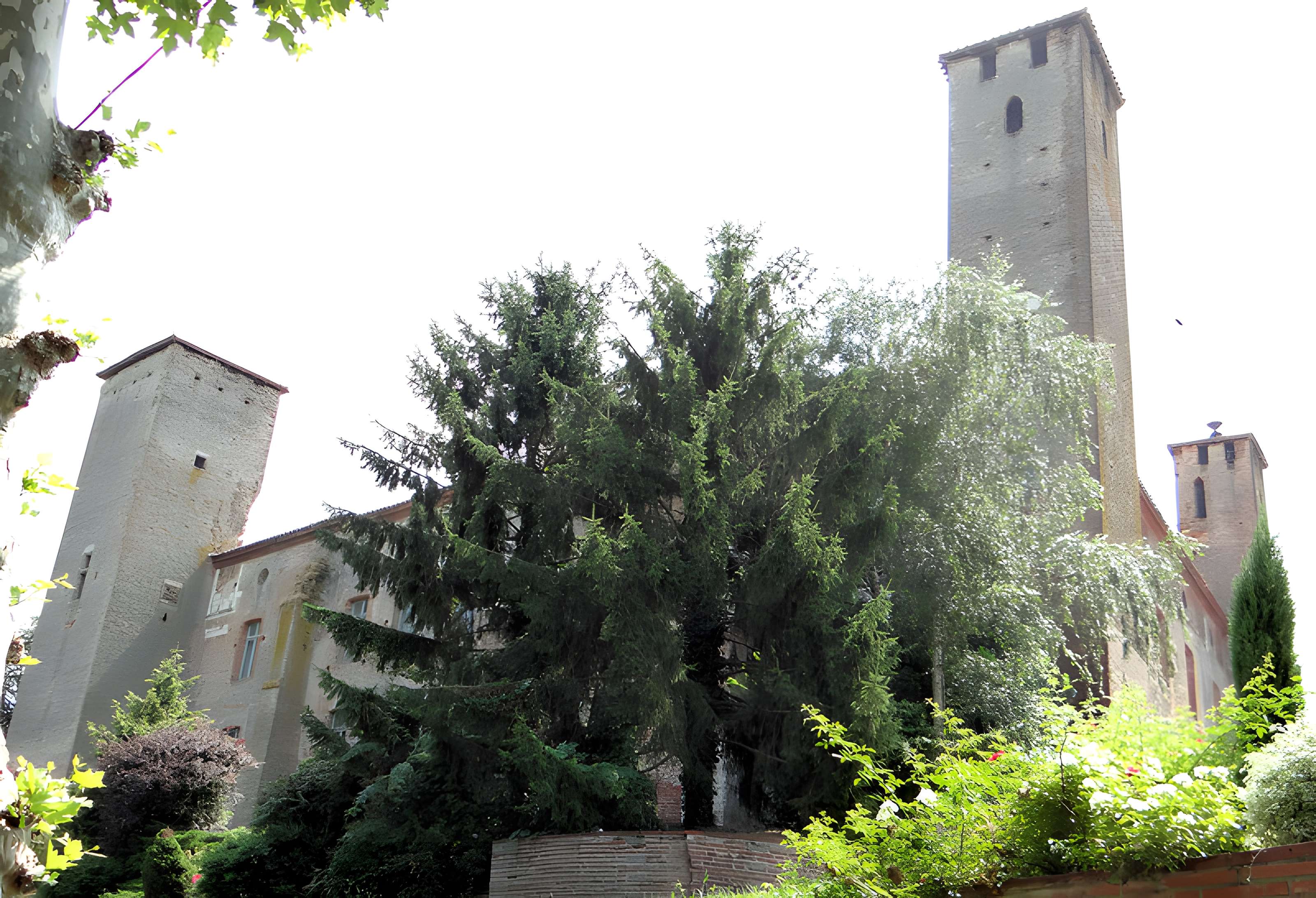 Château dit de Richard Coeur de Lion
