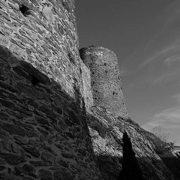 Photo de Château de Rochetaillée