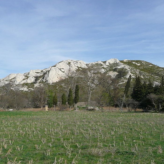 Photo de Château de Roquemartine