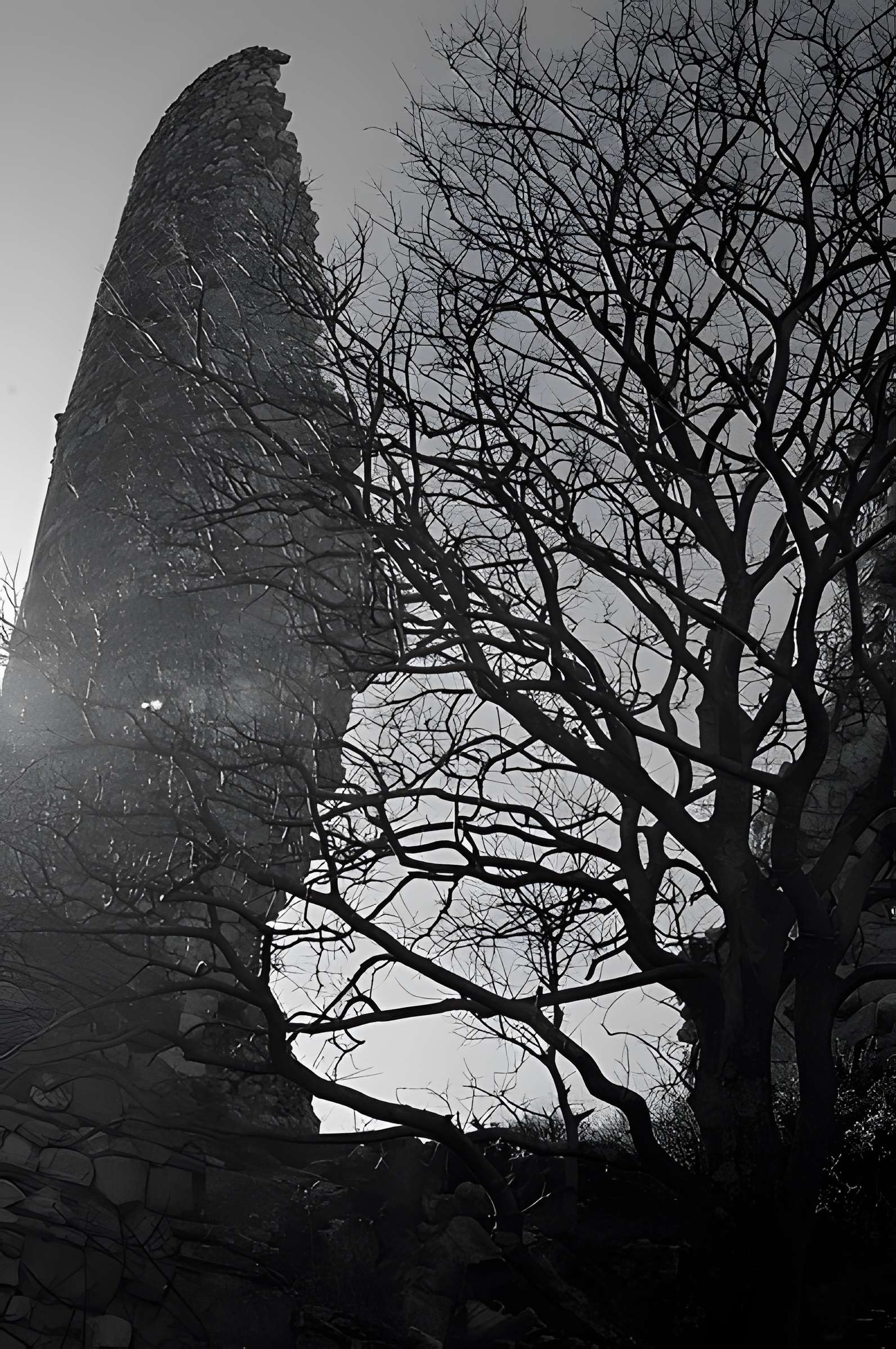 Château de Roquemartine