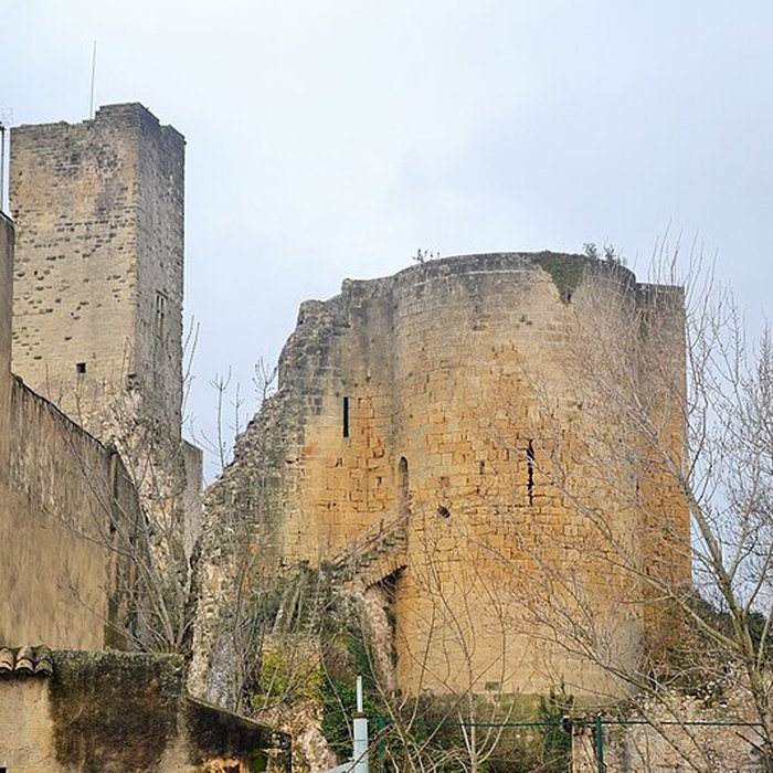 Photo de Château de Roquemaure