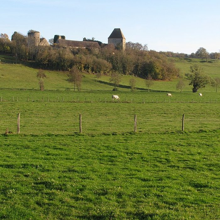 Photo de Château de Rosemont