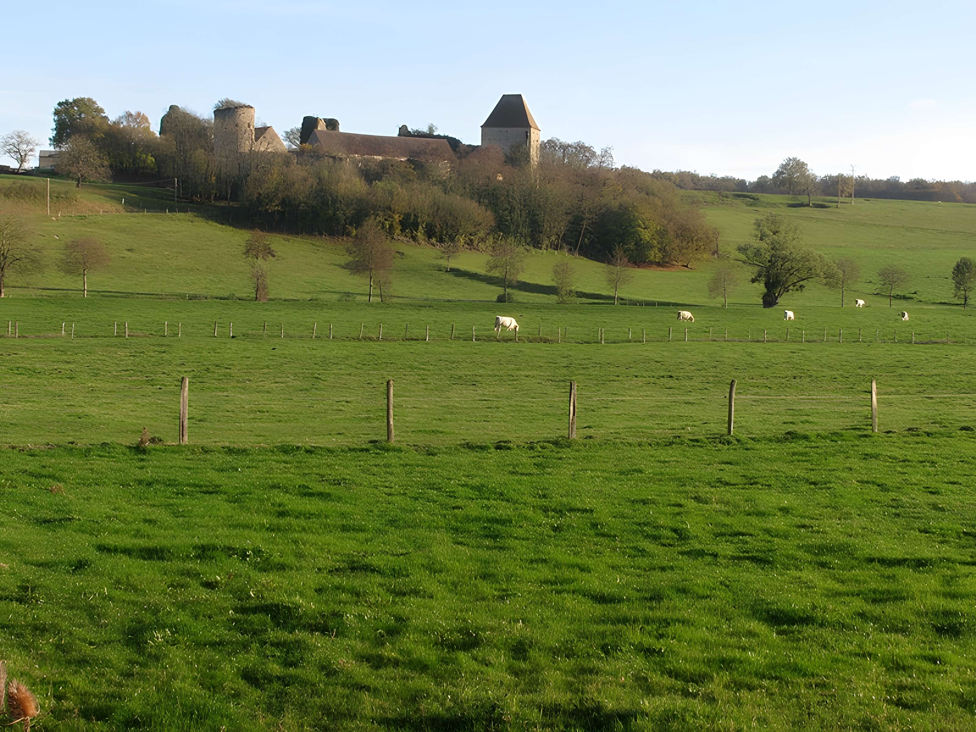 Château de Rosemont