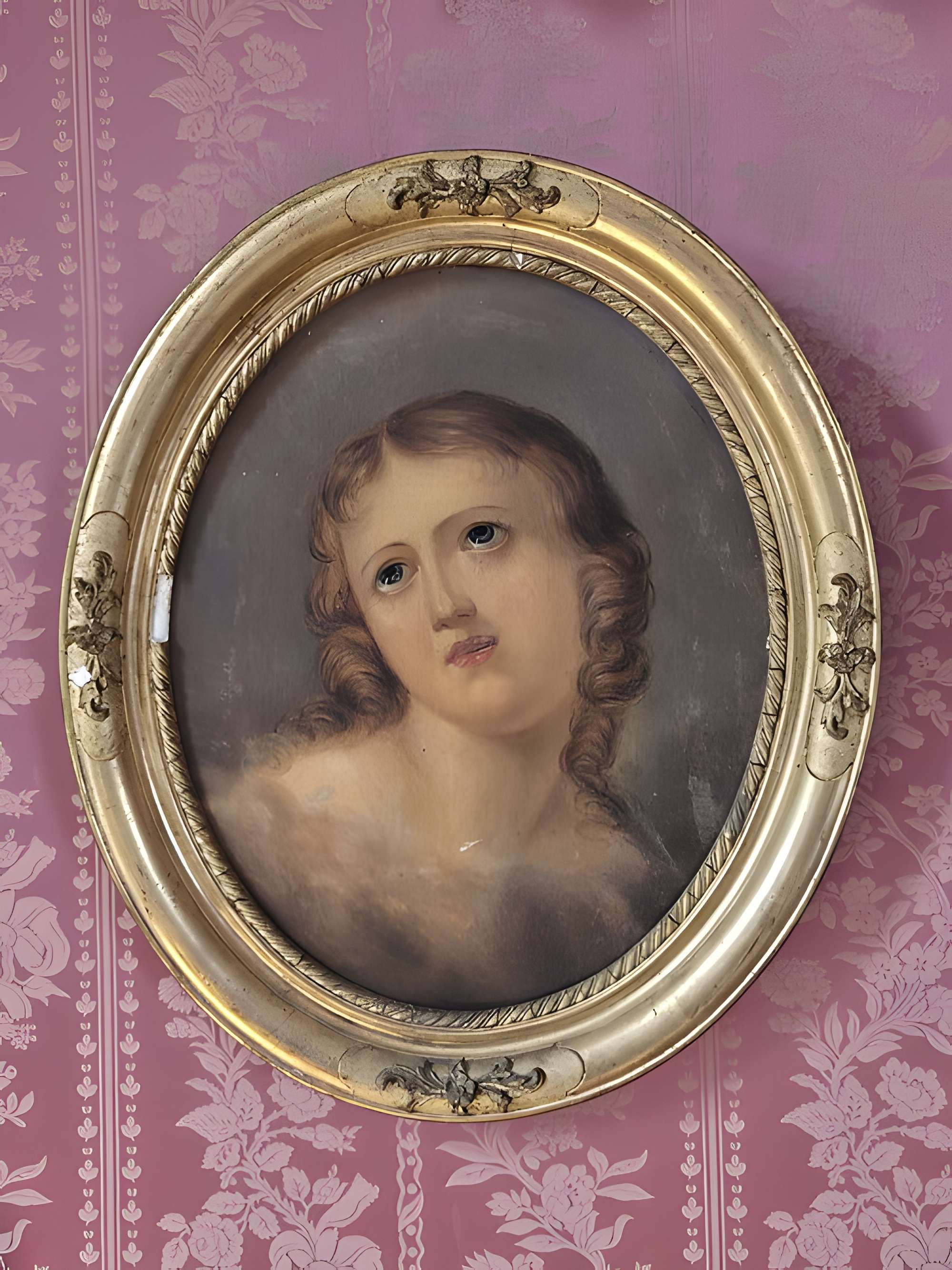 Château de Saint Brisson sur Loire