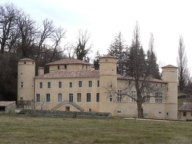 Photo de Château de Saint-André au Poët-Célard