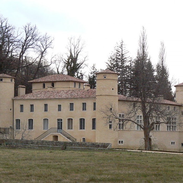 Photo de Château de Saint-André au Poët-Célard