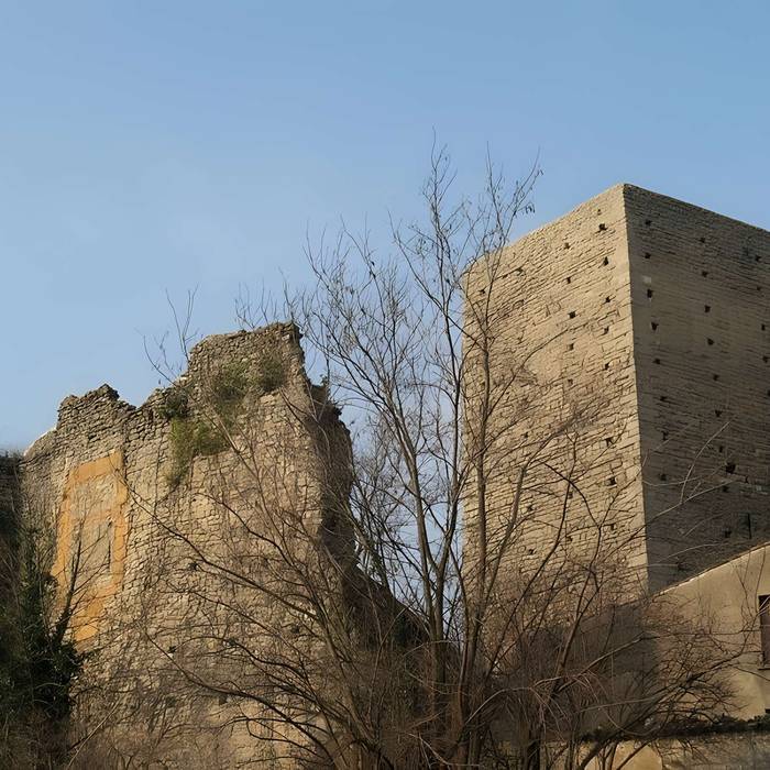 Photo de Château de Saint-Germain-au-Mont-dOr