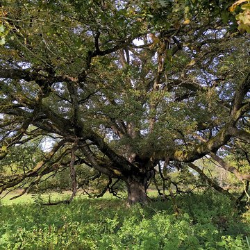 Château de Saint-Germain-lès-Buxy