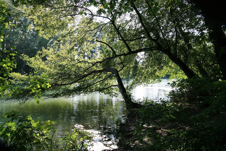 Château de Saint-Hubert
