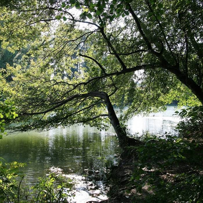 Photo de Château de Saint-Hubert