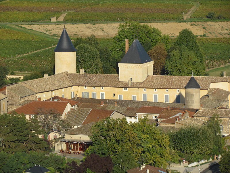 Photo de Château de Saint-Lager